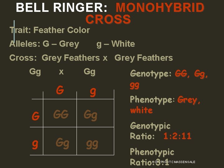  BELL RINGER: MONOHYBRID CROSS Trait: Feather Color Alleles: G – Grey g –