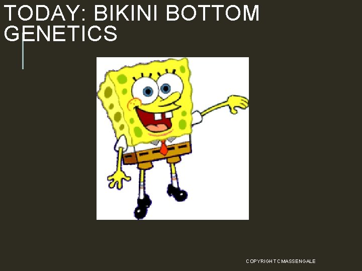 TODAY: BIKINI BOTTOM GENETICS COPYRIGHT CMASSENGALE 29 