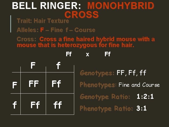  BELL RINGER: MONOHYBRID CROSS Trait: Hair Texture Alleles: F – Fine f –