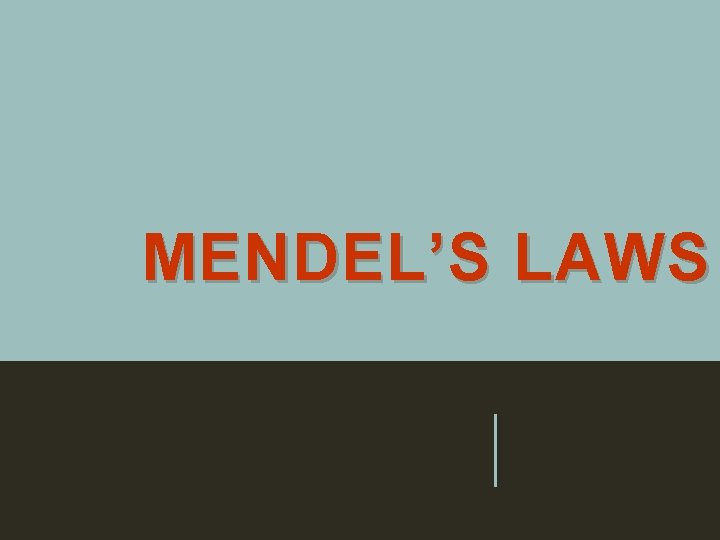 MENDEL’S LAWS 33 