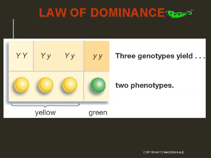 LAW OF DOMINANCE COPYRIGHT CMASSENGALE 35 