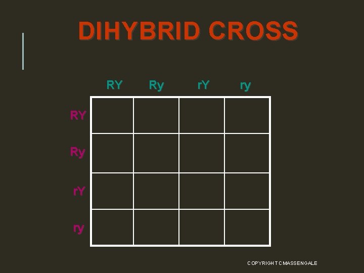 DIHYBRID CROSS RY Ry r. Y ry COPYRIGHT CMASSENGALE 42 