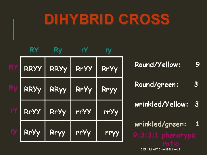 DIHYBRID CROSS RY RY RRYY Ry RRYy r. Y Rr. YY ry Rr. Yy