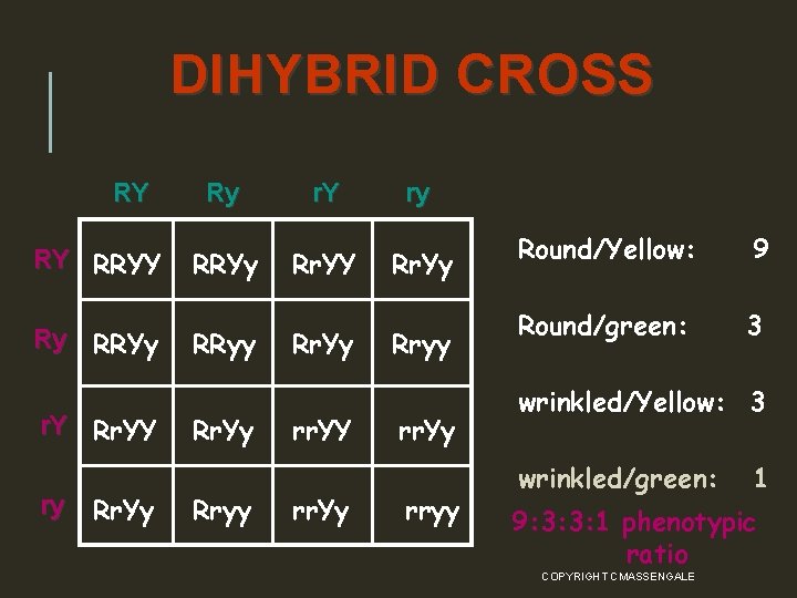 Chapter 10 Dihybrid Cross Worksheet Answer Key Rabbits Trihybrid Cross Example Problems 