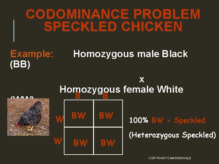 CODOMINANCE PROBLEM SPECKLED CHICKEN Example: (BB) (WW) Homozygous male Black x Homozygous female White