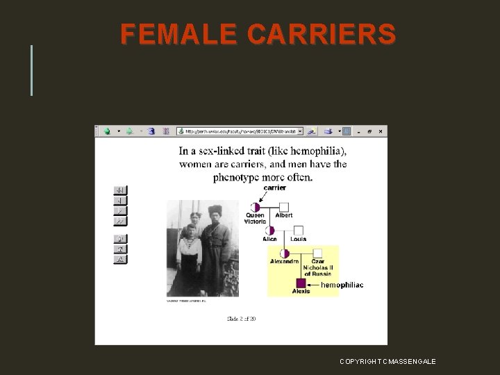 FEMALE CARRIERS COPYRIGHT CMASSENGALE 59 