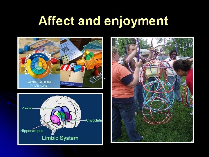 Affect and enjoyment 