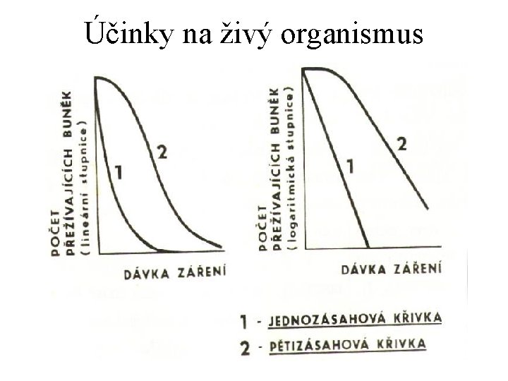 Účinky na živý organismus 