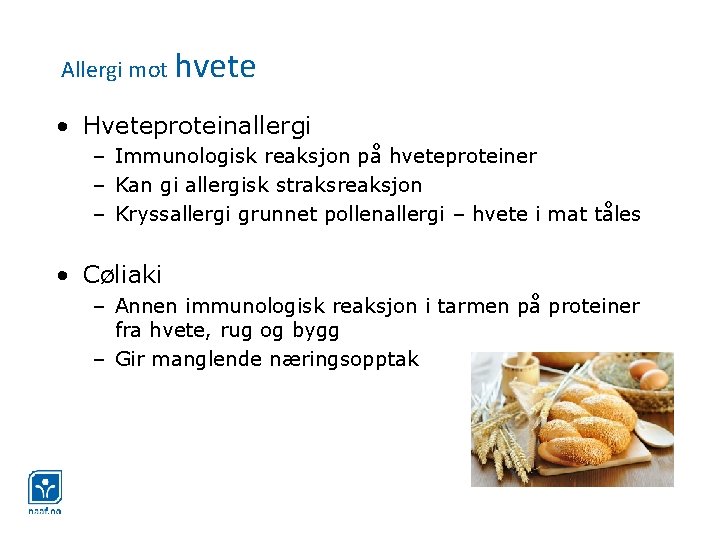 Allergi mot hvete • Hveteproteinallergi – Immunologisk reaksjon på hveteproteiner – Kan gi allergisk