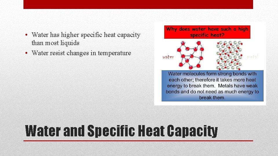  • Water has higher specific heat capacity than most liquids • Water resist