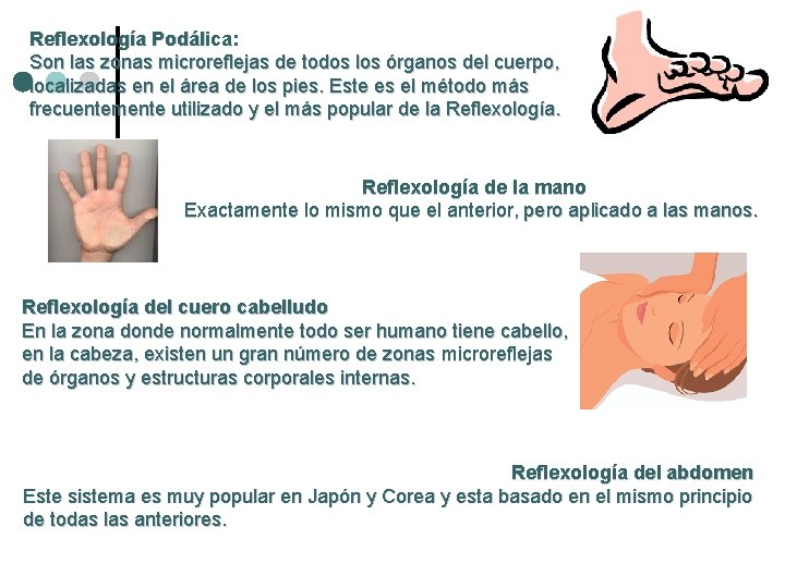 Reflexología Podálica: Son las zonas microreflejas de todos los órganos del cuerpo, localizadas en