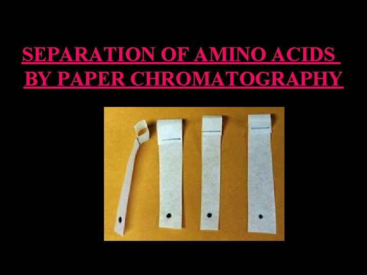 SEPARATION OF AMINO ACIDS BY PAPER CHROMATOGRAPHY 