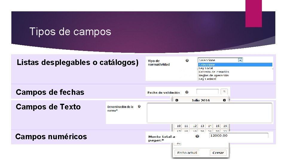 Tipos de campos Listas desplegables o catálogos) Campos de fechas Campos de Texto Campos