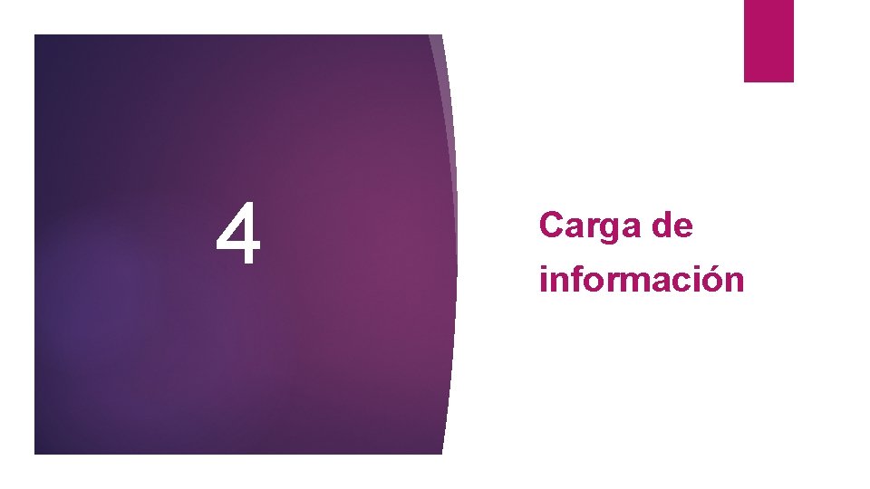 4 Carga de información 