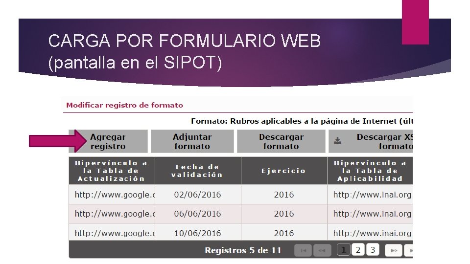 CARGA POR FORMULARIO WEB (pantalla en el SIPOT) 