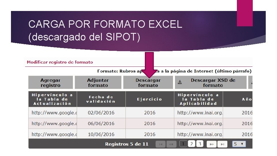 CARGA POR FORMATO EXCEL (descargado del SIPOT) 