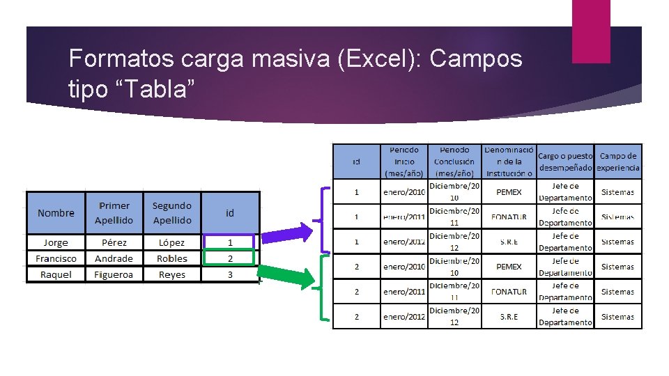 Formatos carga masiva (Excel): Campos tipo “Tabla” 