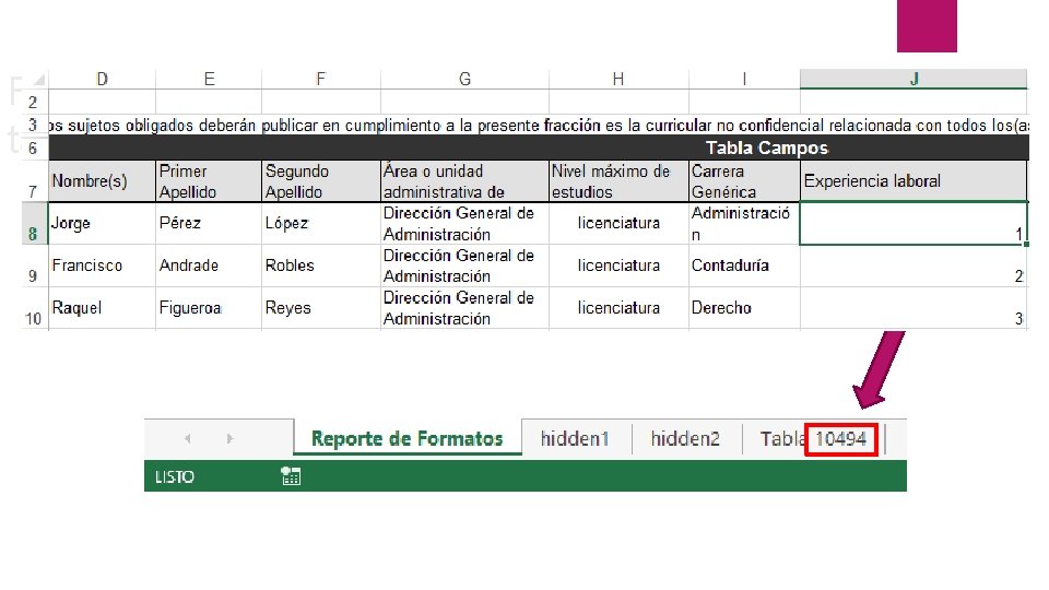 Formatos carga masiva (campos tipo tabla) 