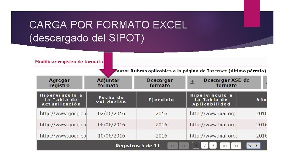 CARGA POR FORMATO EXCEL (descargado del SIPOT) 