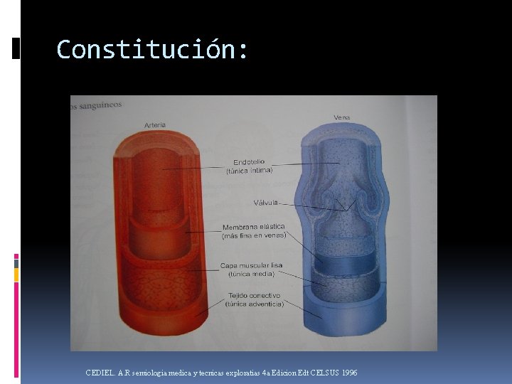 Constitución: CEDIEL. A. R semiologia medica y tecnicas exploratias 4 a Edicion Edt CELSUS