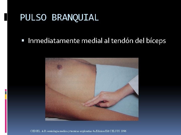 PULSO BRANQUIAL Inmediatamente medial al tendón del bíceps CEDIEL. A. R semiologia medica y