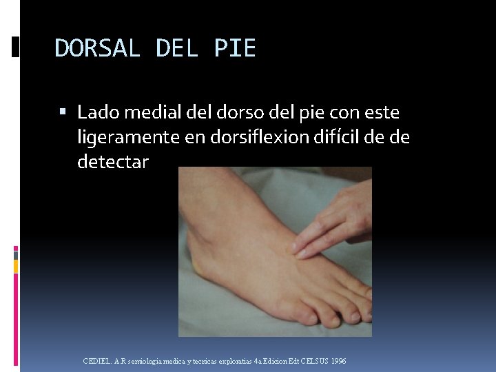 DORSAL DEL PIE Lado medial del dorso del pie con este ligeramente en dorsiflexion