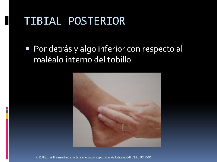 TIBIAL POSTERIOR Por detrás y algo inferior con respecto al maléalo interno del tobillo