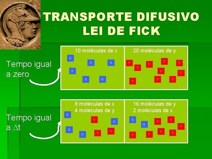 TRANSPORTE DIFUSIVO LEI DE FICK 10 moléculas de x X Tempo igual a zero