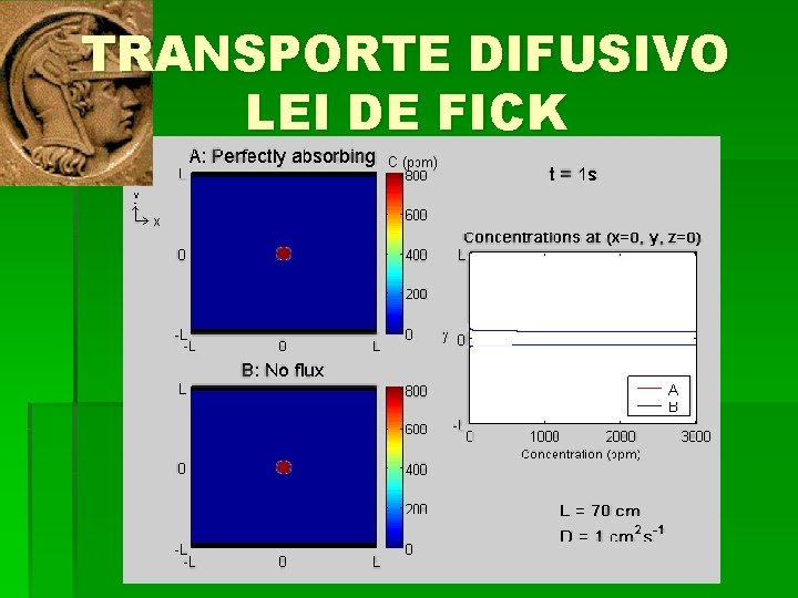 TRANSPORTE DIFUSIVO LEI DE FICK 