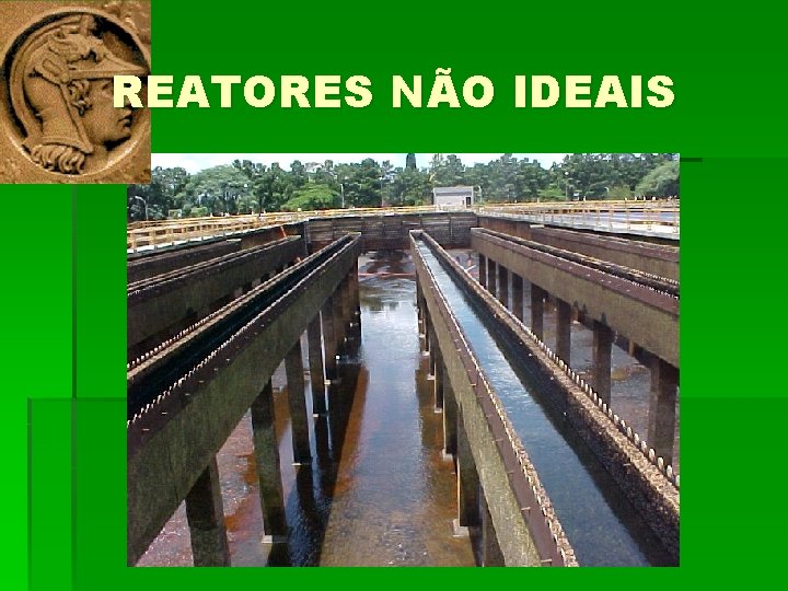 REATORES NÃO IDEAIS 