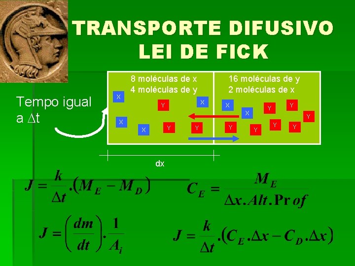 TRANSPORTE DIFUSIVO LEI DE FICK Tempo igual a t X 8 moléculas de x