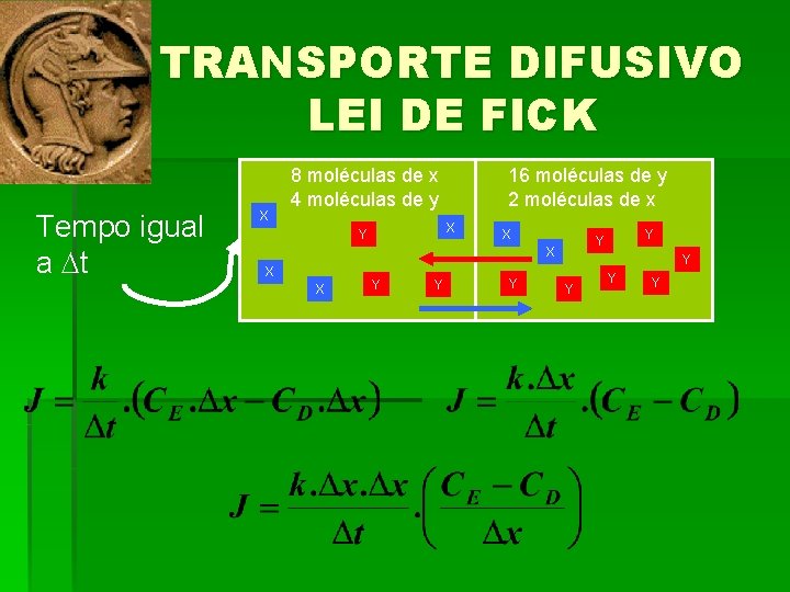 TRANSPORTE DIFUSIVO LEI DE FICK Tempo igual a t X 8 moléculas de x