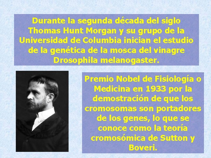 Durante la segunda década del siglo Thomas Hunt Morgan y su grupo de la