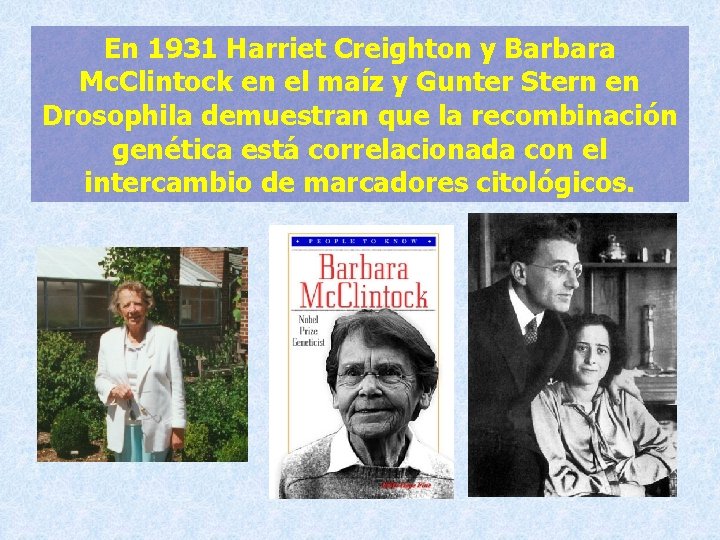 En 1931 Harriet Creighton y Barbara Mc. Clintock en el maíz y Gunter Stern