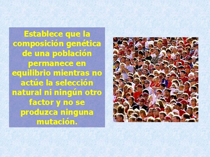 Establece que la composición genética de una población permanece en equilibrio mientras no actúe