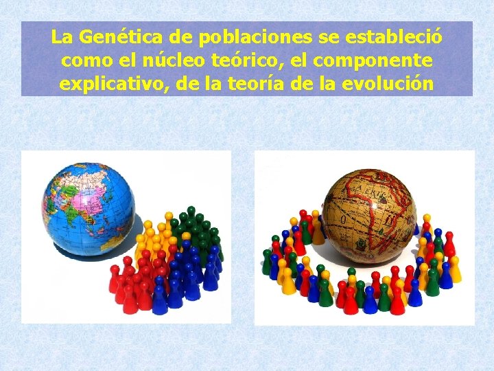 La Genética de poblaciones se estableció como el núcleo teórico, el componente explicativo, de