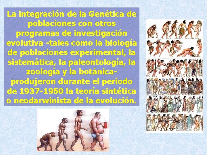 La integración de la Genética de poblaciones con otros programas de investigación evolutiva -tales