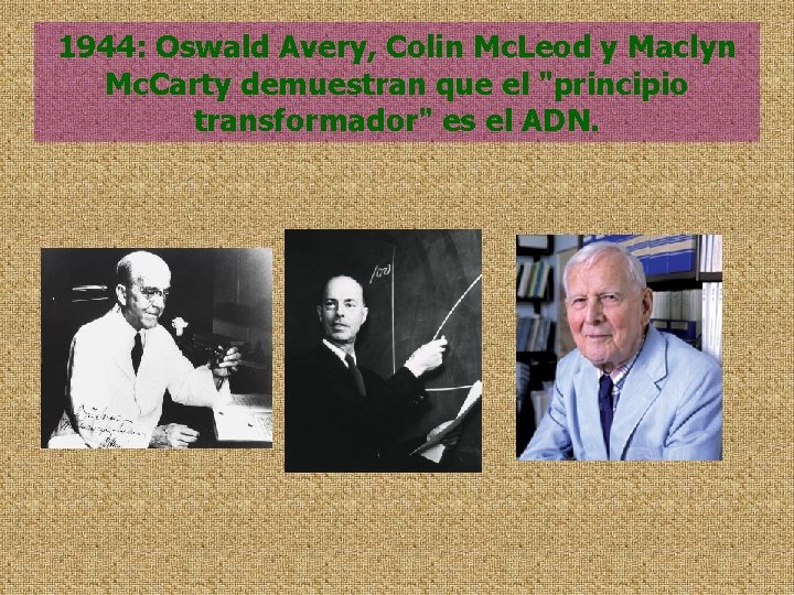 1944: Oswald Avery, Colin Mc. Leod y Maclyn Mc. Carty demuestran que el "principio