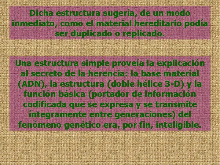 Dicha estructura sugería, de un modo inmediato, como el material hereditario podía ser duplicado