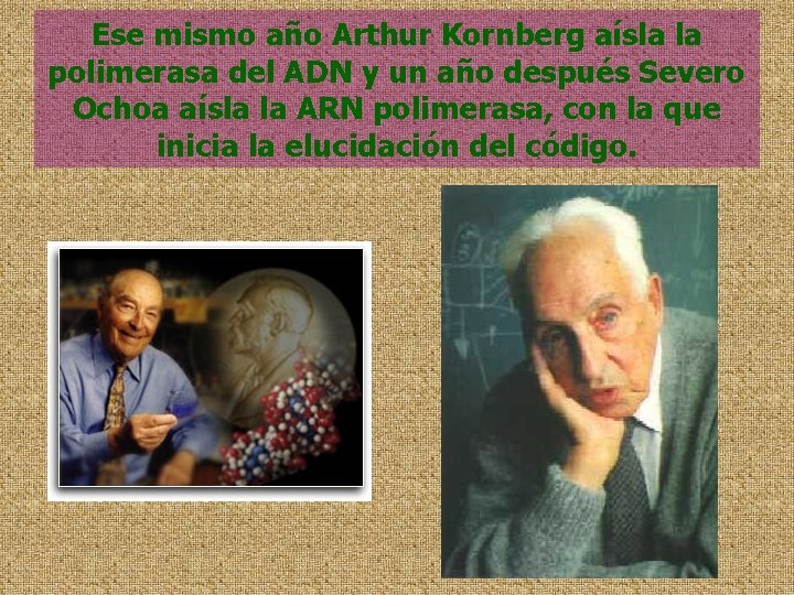 Ese mismo año Arthur Kornberg aísla la polimerasa del ADN y un año después
