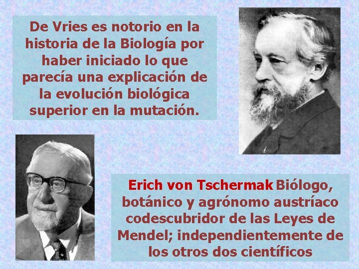 De Vries es notorio en la historia de la Biología por haber iniciado lo