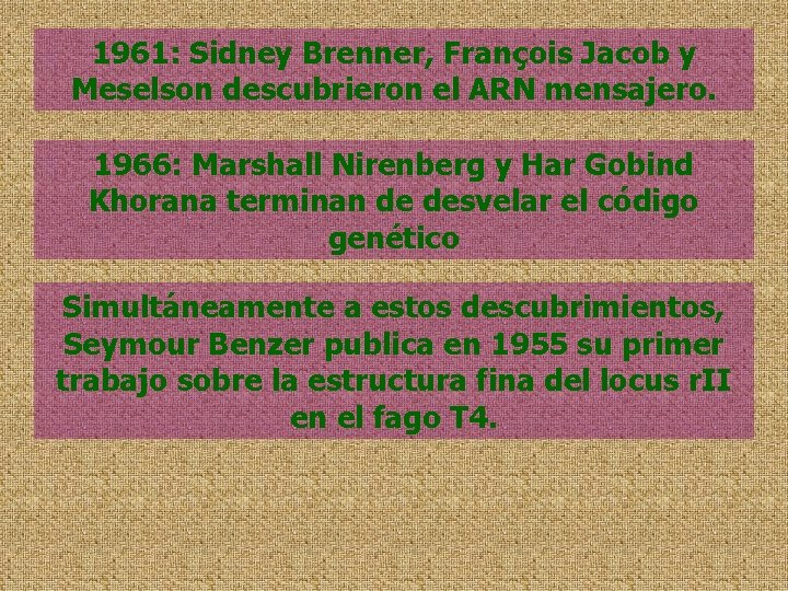 1961: Sidney Brenner, François Jacob y Meselson descubrieron el ARN mensajero. 1966: Marshall Nirenberg