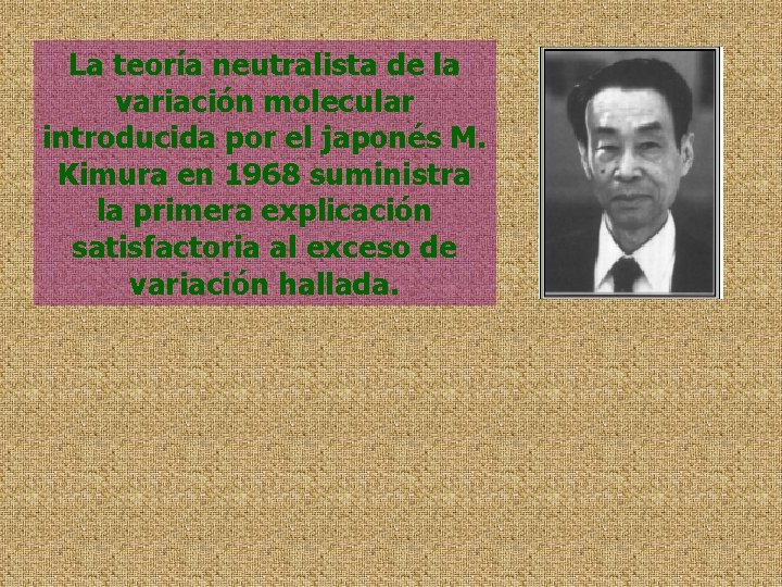 La teoría neutralista de la variación molecular introducida por el japonés M. Kimura en