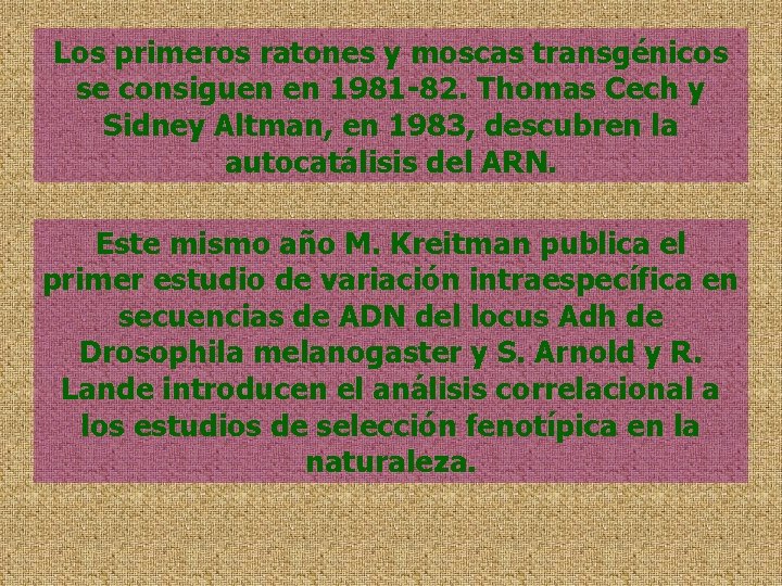 Los primeros ratones y moscas transgénicos se consiguen en 1981 -82. Thomas Cech y