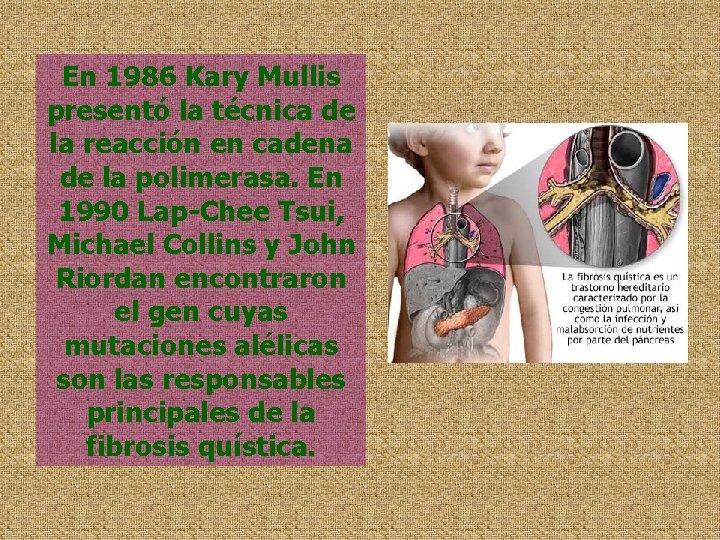 En 1986 Kary Mullis presentó la técnica de la reacción en cadena de la