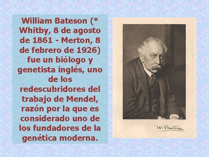 William Bateson (* Whitby, 8 de agosto de 1861 - Merton, 8 de febrero