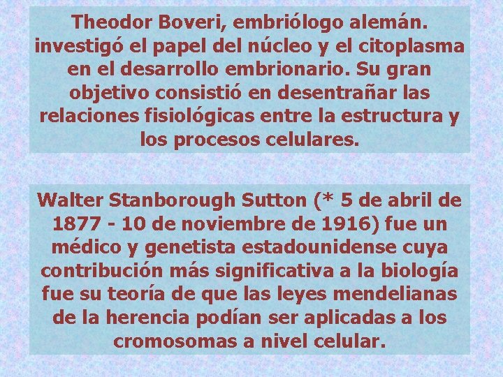 Theodor Boveri, embriólogo alemán. investigó el papel del núcleo y el citoplasma en el