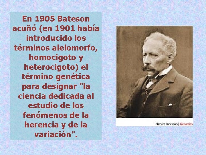 En 1905 Bateson acuñó (en 1901 había introducido los términos alelomorfo, homocigoto y heterocigoto)