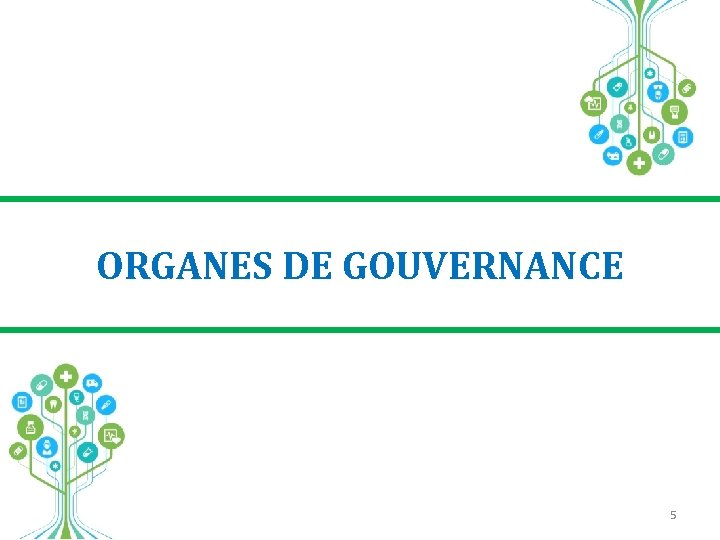 ORGANES DE GOUVERNANCE 5 