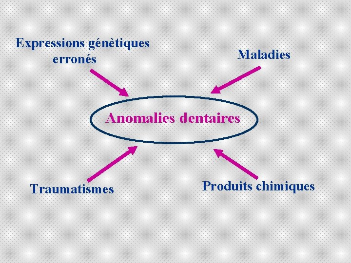 Expressions génètiques erronés Maladies Anomalies dentaires Traumatismes Produits chimiques 